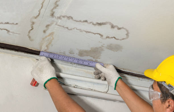Reliable Water Damage contractor in Wixom, MI by Water Damage Irwin
